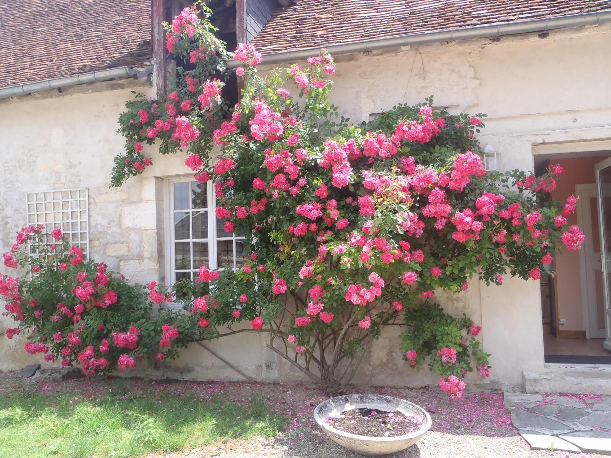 Chambres D'Hotes Du Domaine De Jacquelin Saint-Germain-du-Puy Habitación foto